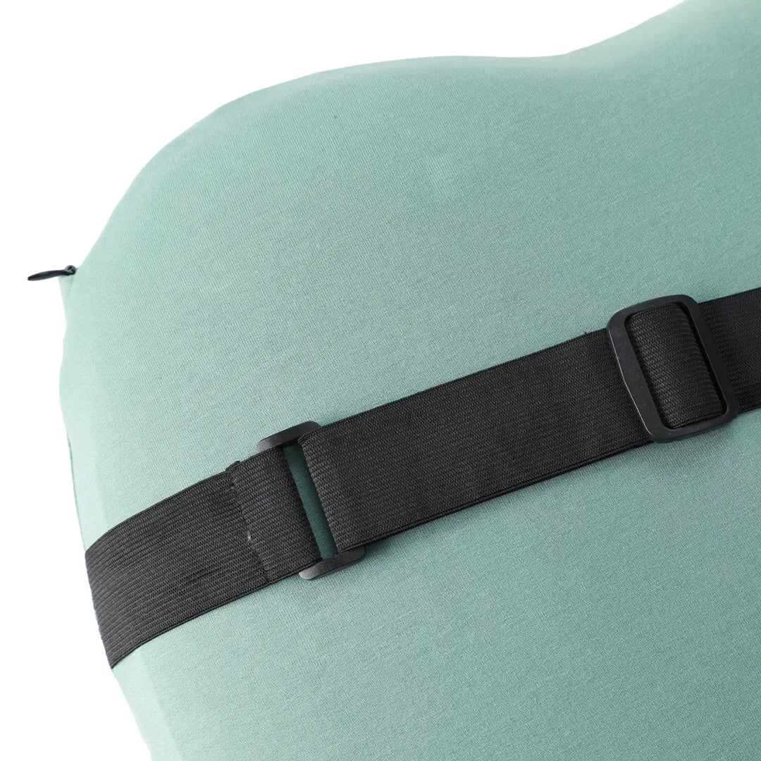 SpineGuard™ Pillow